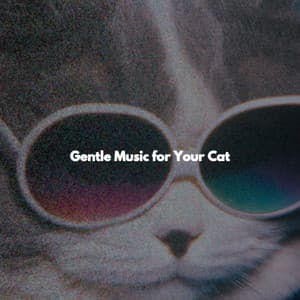 Gentle Music for Your Cat - Background Restaurant Lounge Music