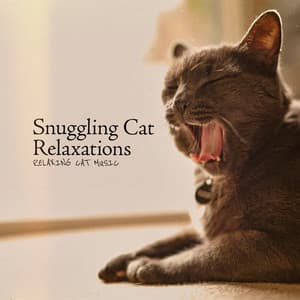 Snuggling Cat Relaxations - Relaxing Cat Music