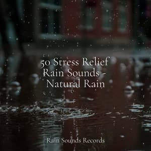 50 Stress Relief Rain Sounds - Natural Rain - Pro Sound Effects Library