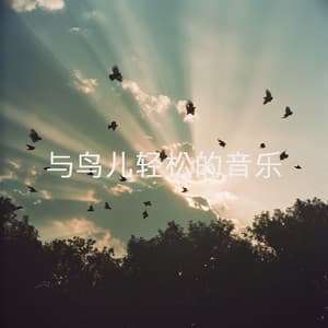 与鸟儿轻松的音乐 - Spa Music Relaxation Meditation