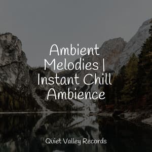 Ambient Melodies | Instant Chill Ambience - Rain Sounds & White Noise