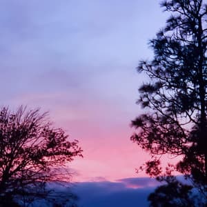 Wandering Tapes, Vol. I - Byelti