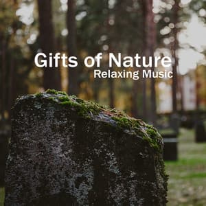 Gifts of Nature in Various Shades. Relaxing Music - Experimental New Age Musician