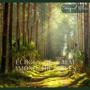 Echoes of Bliss - Tranquil Bliss