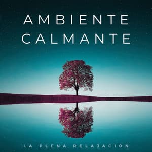 Ambiente Calmante: La Plena Relajación - Zona de Música Sexual