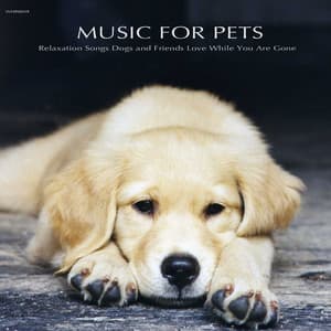 Music for Pets - Relaxation Songs Dogs and Friends Love While You Are Gone - Music for Pets Specialists