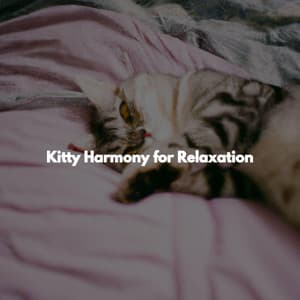 Kitty Harmony for Relaxation - Classic Relaxing Jazz