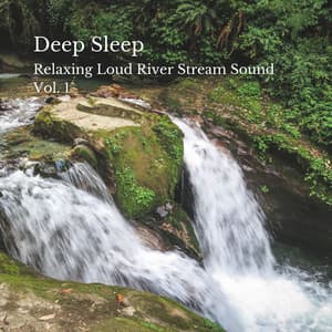 Deep Sleep: Relaxing Loud River Stream Sound Vol. 1 - Deep Sleep Relaxation
