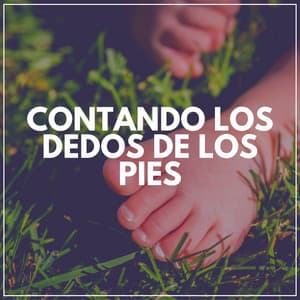 Contando los Dedos de los Pies - Canciones Infantiles
