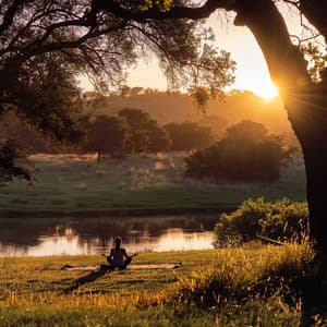 Melodías De Masaje: Sonidos Relajantes Para La Curación - Oraciones al sol