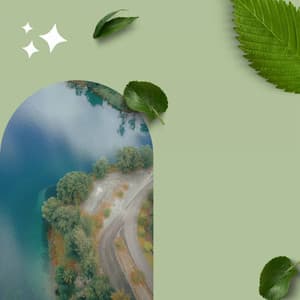 Background Music - Relax Music Therapy - Deep Sleep Meditation Radio