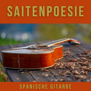 Saitenpoesie: Instrumentale Gitarrenmusik - Spanische Gitarre