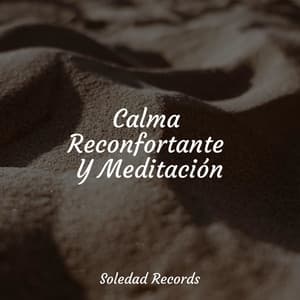 Calma Reconfortante Y Meditación - Sonido Del Bosque y Naturaleza