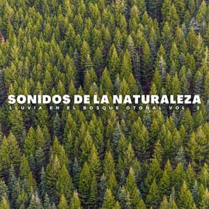 Sonidos De La Naturaleza: Lluvia En El Bosque Otoñal Vol. 2 - Olivia Lluvia