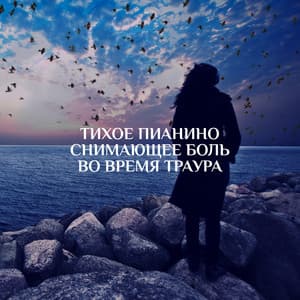 Тихое пианино снимающее боль во время траура: Новое фортепиано со звуками природы, Потери любимого человека, Облегчение моральной боли - Инструментальная джазовая коллекция