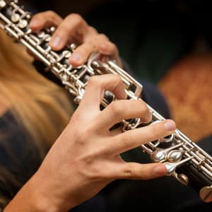 Tranquil Orchestra Music for Relaxation - Raymond Floyd