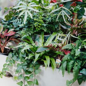 ガーデニングの子守唄 - Jazz Vibe Chill Out