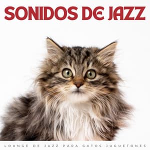 Sonidos De Jazz: Lounge De Jazz Para Gatos Juguetones - Salón de jazz de Nueva York