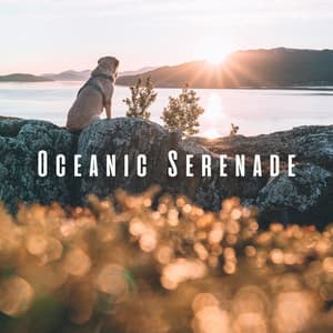 Oceanic Serenade: Relaxing Chill Sounds for Blissful Dogs - Ocean Therapy