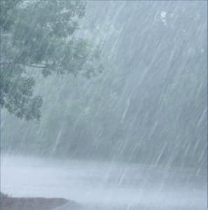 Soothing Rain for Background Sounds and Natural White Noise - Sounds of Nature Relaxation