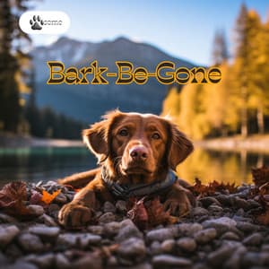 Bark-Be-Gone: Less Noise, More Peace - PAWsome