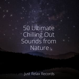 50 Ultimate Chilling Out Sounds from Nature - Music For Absolute Sleep