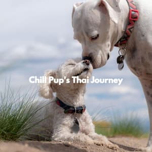 Chill Pup's Thai Journey - Coffee + Chill