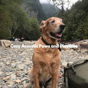 Cozy Acoustic Paws and Playtime - Songs for Dogs to Sleep To