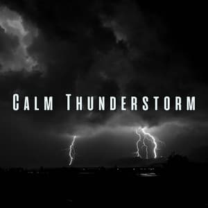 Calm Thunderstorm: Meditative Rain, Thunder, and Ambient Sounds - Thunderstorms