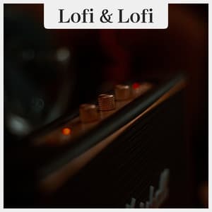 Tune In For Some Chill Lofi - Lofi & Lofi
