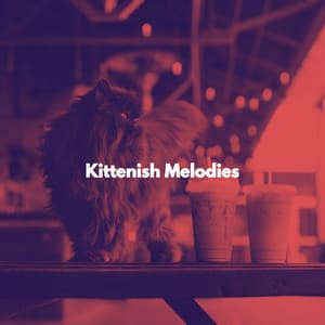 Kittenish Melodies - Cat Music Experience