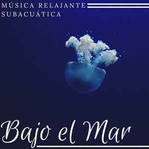 Bajo el Mar: Música Relajante Subacuática para Dejarse llevar por los Sentidos - Cama Mejor