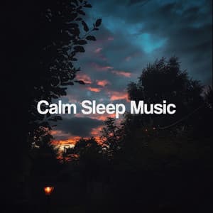 Calm Sleep Music - Meditation Music
