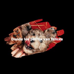 Donde los perros van felices - Dinner Jazz Playlist