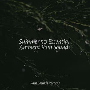 Summer 50 Essential Ambient Rain Sounds - Musica Relajante Specialistas & Musica Relajante