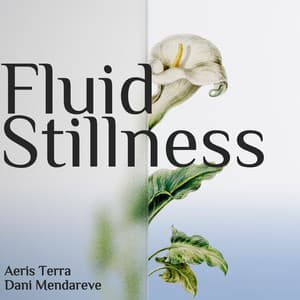 Fluid Stillness: Through the Divide - Aeris Terra