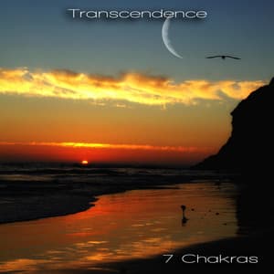 Transcendence - 7 Chakras