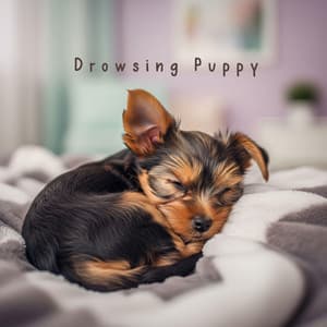 Drowsing Puppy - Wellness Dog Oasis