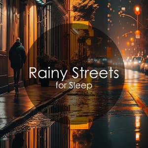 Rainy Streets for Sleep: Summer Warm Rain - The Sleep Helpers