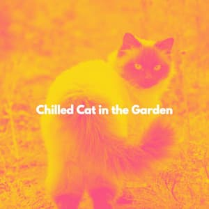 Chilled Cat in the Garden - Refreshing Tracks