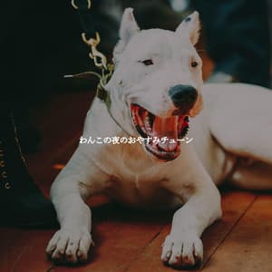 わんこの夜のおやすみチューン - Jazz Chill Out Lounge