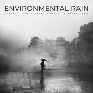 Environmental Rain: Sleep To The Soothing Sounds Of Rainstorms - Deep Sleep Meditation Radio