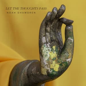 Let the Thoughts Pass - Noah Dhamoren