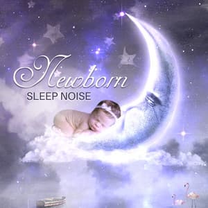 Newborn Sleep Noise: Sleep Through the Night & Sleep Deeply - Sleep & Dream Music Academy