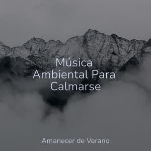 Música Ambiental Para Calmarse - Rising Higher Meditation