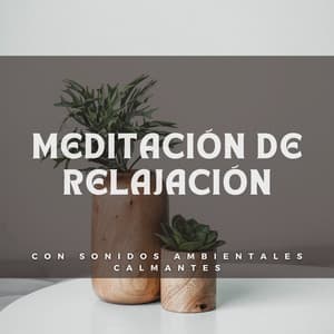 Meditación De Relajación Con Sonidos Ambientales Calmantes - Relajación de piano definitiva