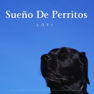 Dias De Sueño De Perritos: Ritmos Lofi Para La Comodidad Del Canino - LUIS RADIO