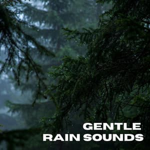 Gentle Rain Sounds - Gentle Nature