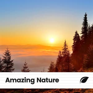 Amazing Nature - Weather Sounds