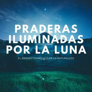 Praderas Iluminadas Por La Luna: El Abrazo Tranquilo De La Naturaleza - Música del domingo por la noche